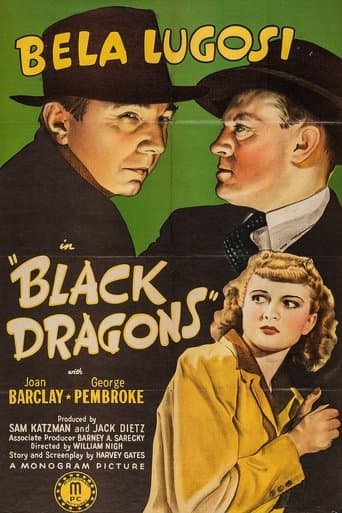 Movie poster for Black Dragons