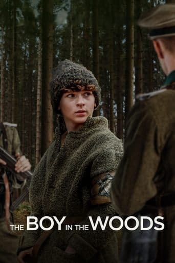 Movie poster for The Boy in the Woods