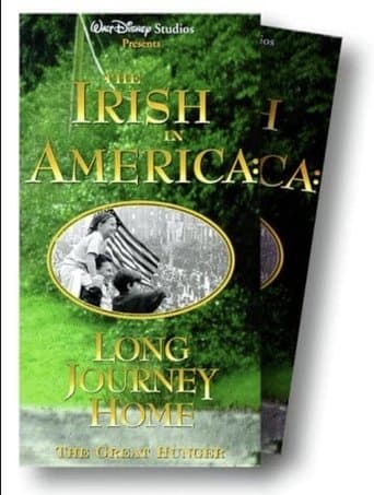 Movie poster for The Irish In America: Long Journey Home
