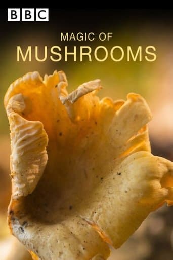 Movie poster for The Magic of Mushrooms