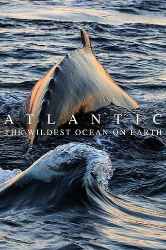 Movie poster for Atlantic: The Wildest Ocean on Earth
