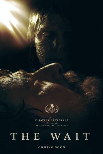 Movie poster for The Wait