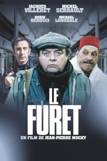 Movie poster for Le Furet