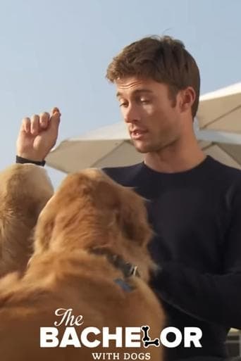 Movie poster for The Bachelor with Dogs and Scott Eastwood