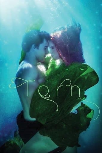 Movie poster for Torn