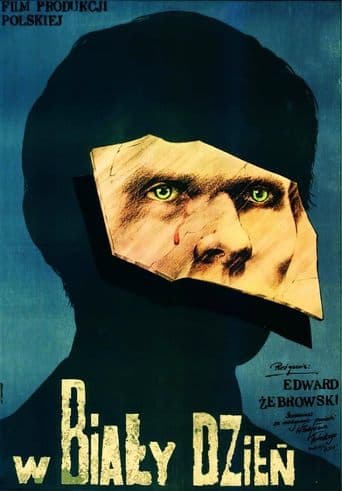 Movie poster for In Broad Daylight