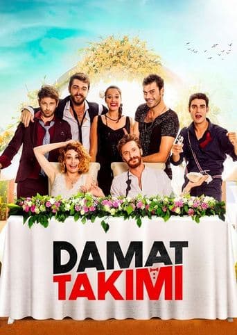 Movie poster for Friends of the Groom