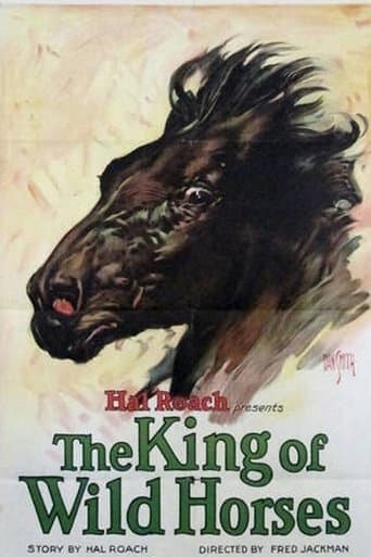 Movie poster for The King of the Wild Horses