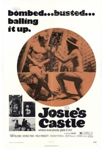 Movie poster for Josie's Castle