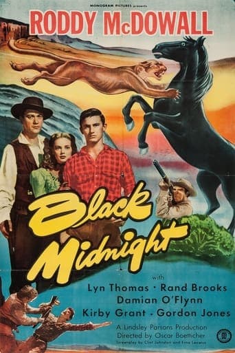 Movie poster for Black Midnight