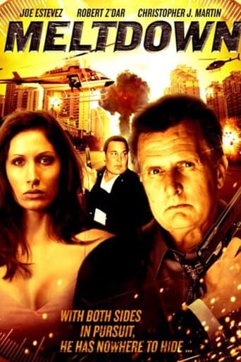 Movie poster for Meltdown