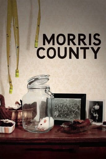Movie poster for Morris County