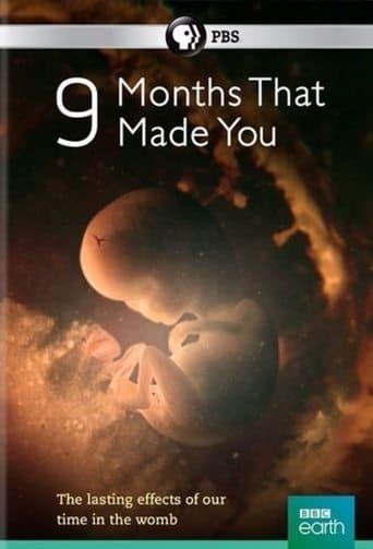 Movie poster for 9 Months That Made You