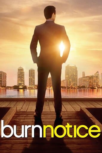 Movie poster for Burn Notice