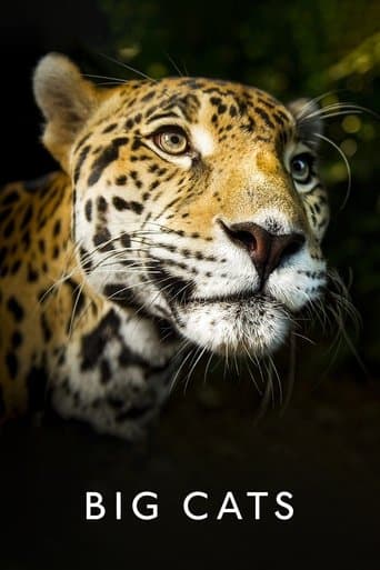 Movie poster for Big Cats