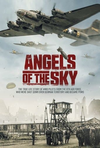 Movie poster for Angels of the Sky