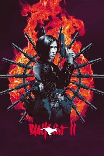 Movie poster for Black Cat II
