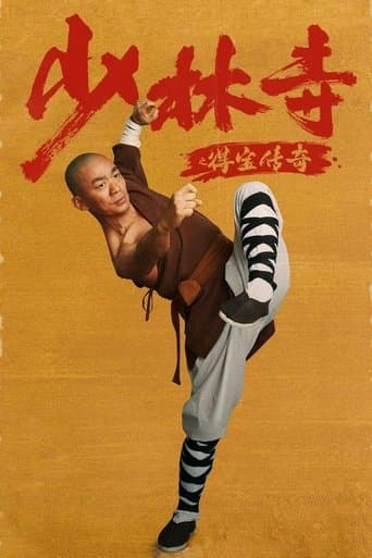 Movie poster for Rising Shaolin: The Protector