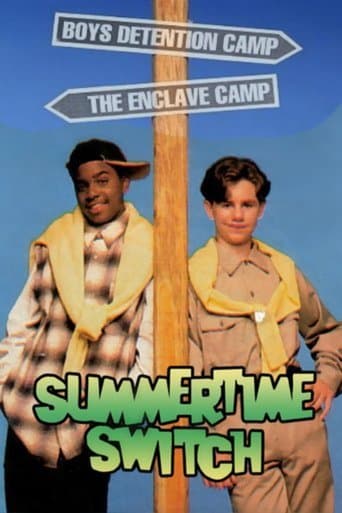 Movie poster for Summertime Switch