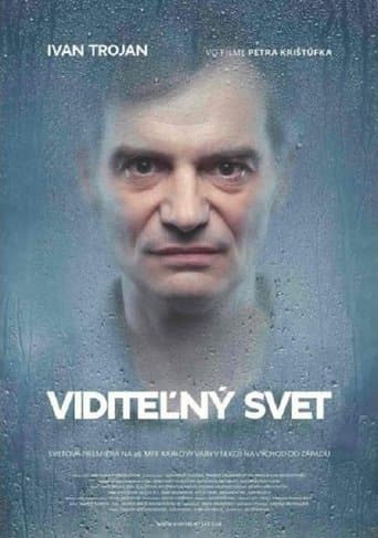 Movie poster for Visible World