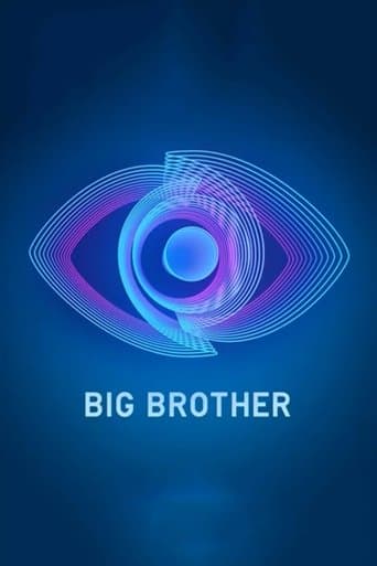 Movie poster for Big Brother