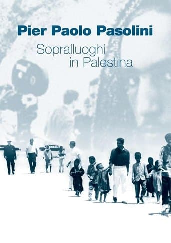 Movie poster for Scouting in Palestine
