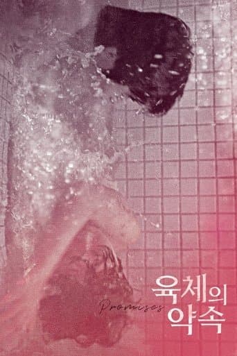 Movie poster for Promises