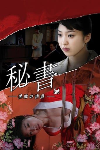 Movie poster for Passions of a Private Secretary