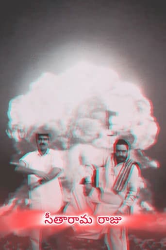 Movie poster for Seetharama Raju