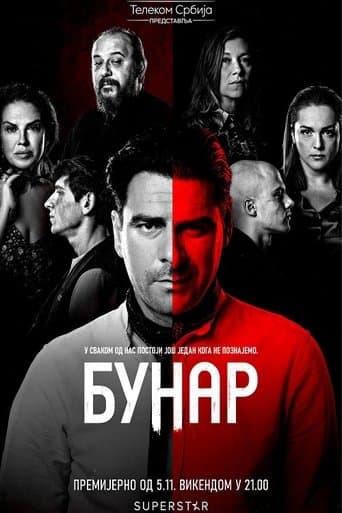 Movie poster for The Well