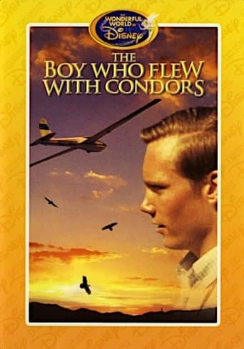 Movie poster for The Boy Who Flew with Condors