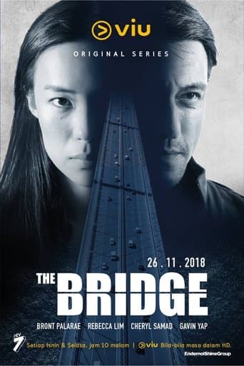 Movie poster for The Bridge