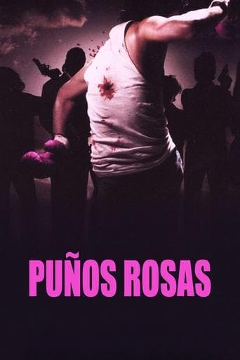 Movie poster for Pink Punch