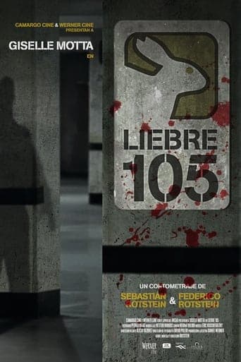 Movie poster for Rabbit 105