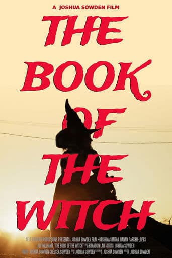 Movie poster for The Book of the Witch