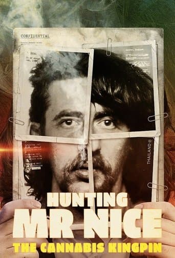Movie poster for Hunting Mr Nice: The Cannabis Kingpin