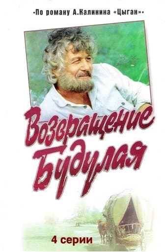 Movie poster for Return of Budulai