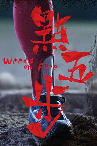 Movie poster for Weeds on Fire