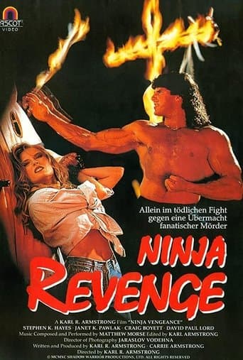 Movie poster for Ninja Vengeance