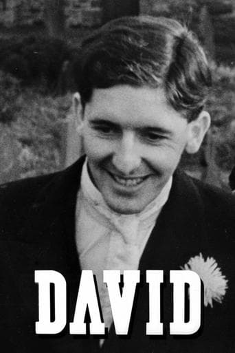Movie poster for David