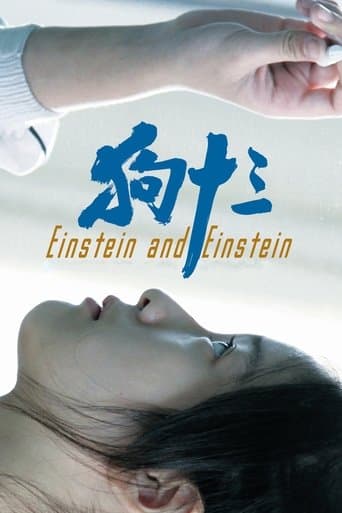 Movie poster for Einstein and Einstein