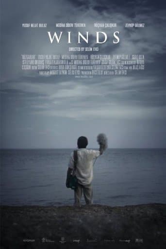 Movie poster for Winds