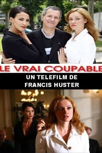 Movie poster for Le Vrai Coupable