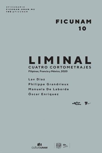 Movie poster for Liminal