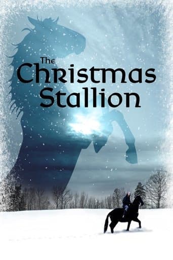 Movie poster for The Winter Stallion