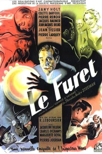 Movie poster for The Ferret