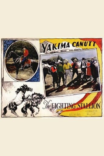 Movie poster for The Fighting Stallion