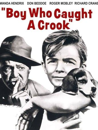 Movie poster for Boy Who Caught a Crook