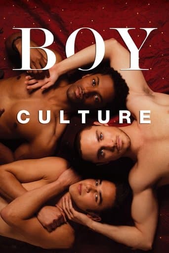 Movie poster for Boy Culture