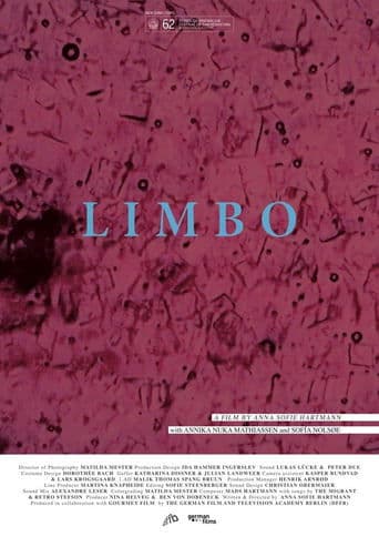 Movie poster for Limbo